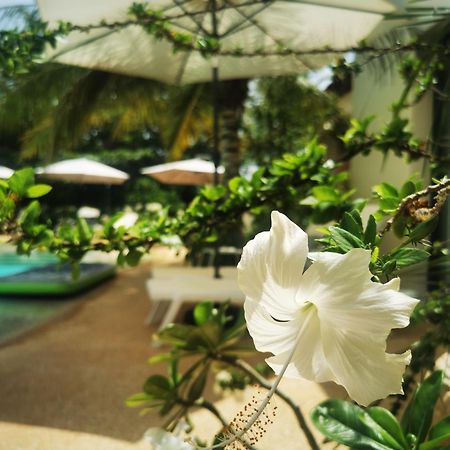 La Maison Vanille Ngaparou 外观 照片